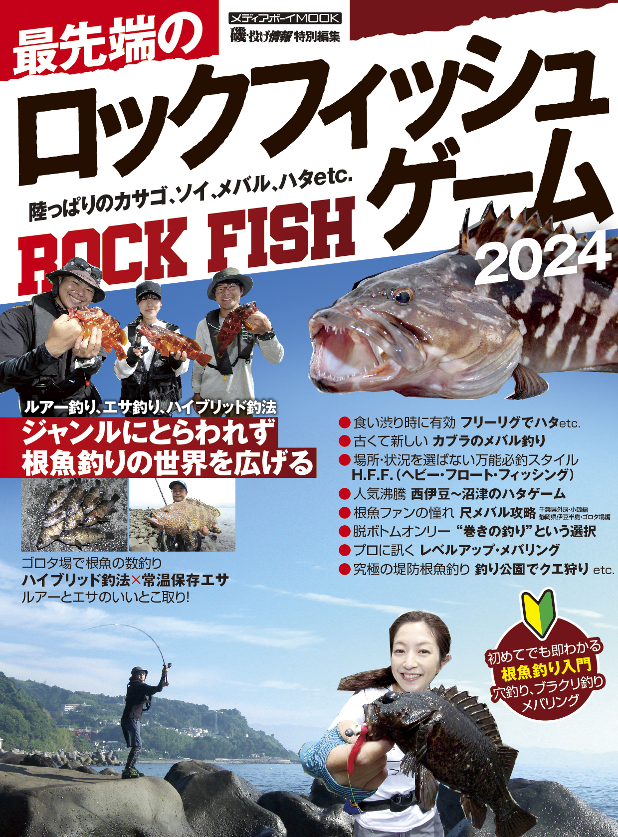 最先端のロックフィッシュゲーム2024 - メディアボーイ